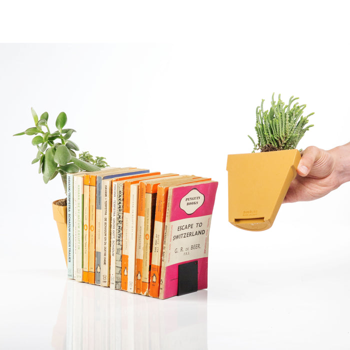 180779-x04.jpg (3416637) 