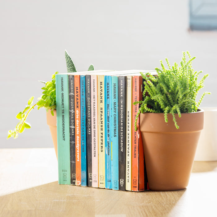 180779-x6.jpg (3416644) 