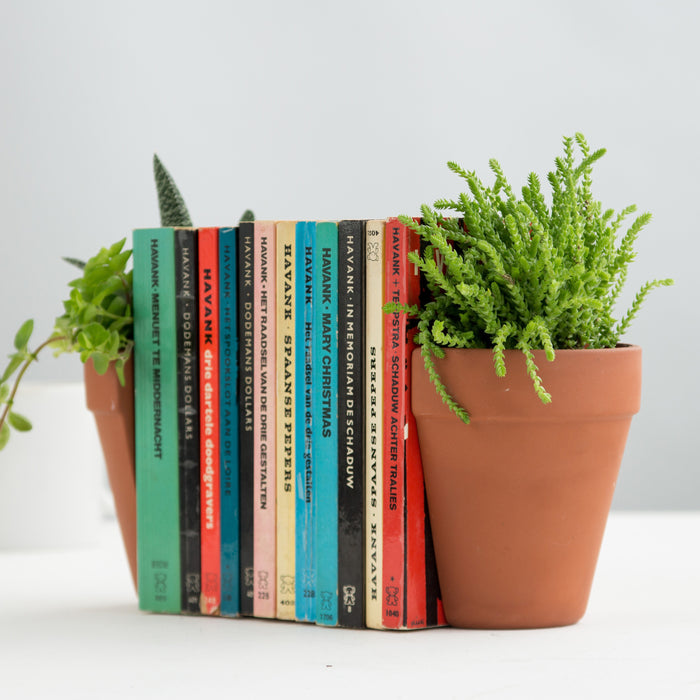 180779-x8.jpg (3416646) 