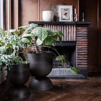 281783-x1.jpg (3427722) 