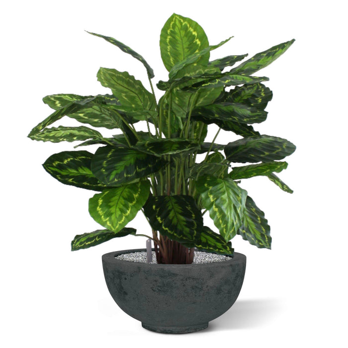 37deb0e5-3ec6-4fe3-a5f2-2fa71d742beb-sfeerbeeld.jpg (3432066) 