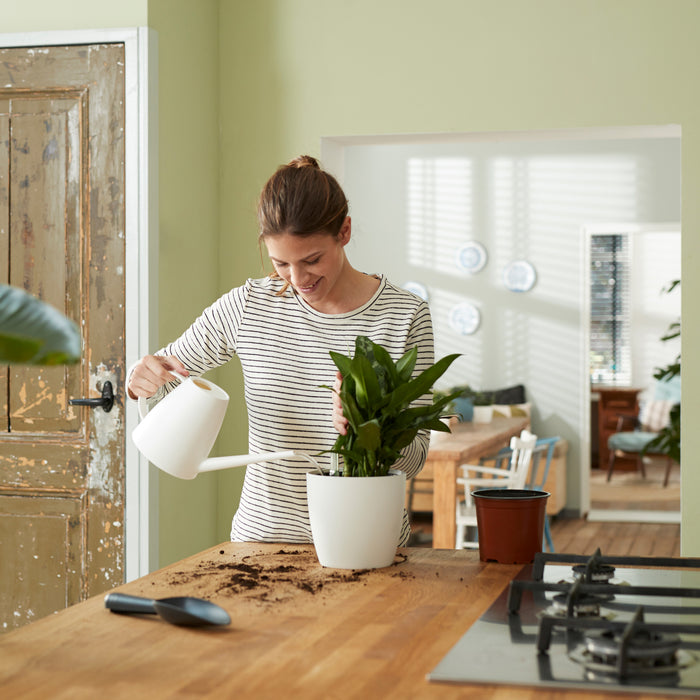 259791-x05.jpg (3449996) 