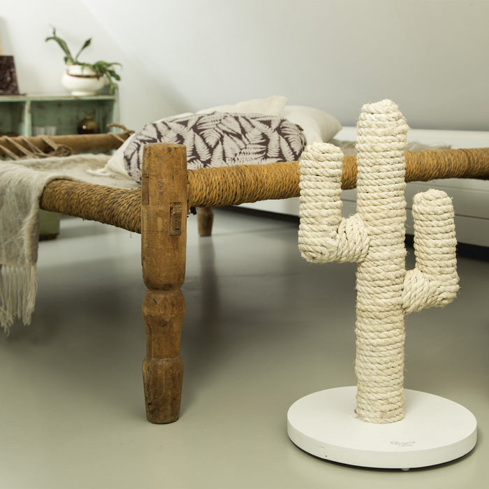 216793-x02.jpg (3455420) 