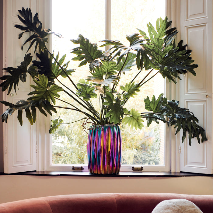 312793-x2.jpg (3458073) 