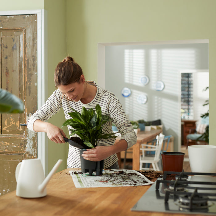 259795-x03.jpg (3461012) 