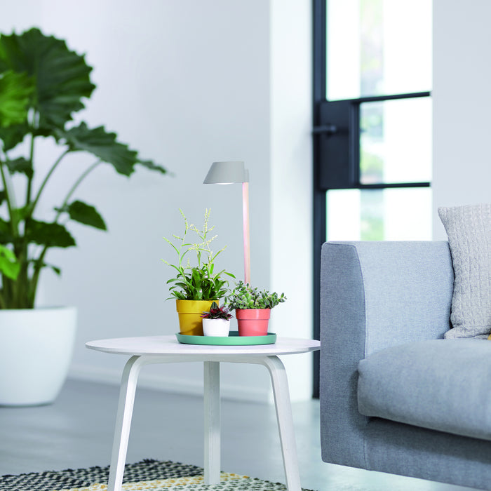 259796-x01.jpg (3463820) 