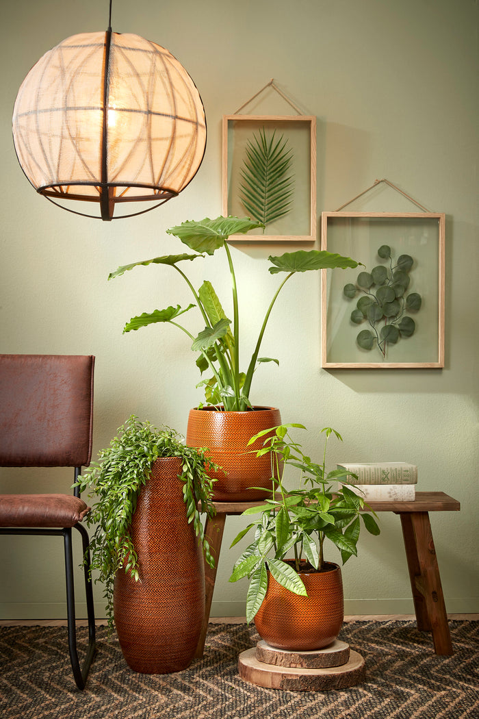 26ca2733-2e76-4084-9dd0-271e80b9ae7e-sfeerbeeld.jpg (3473850) 