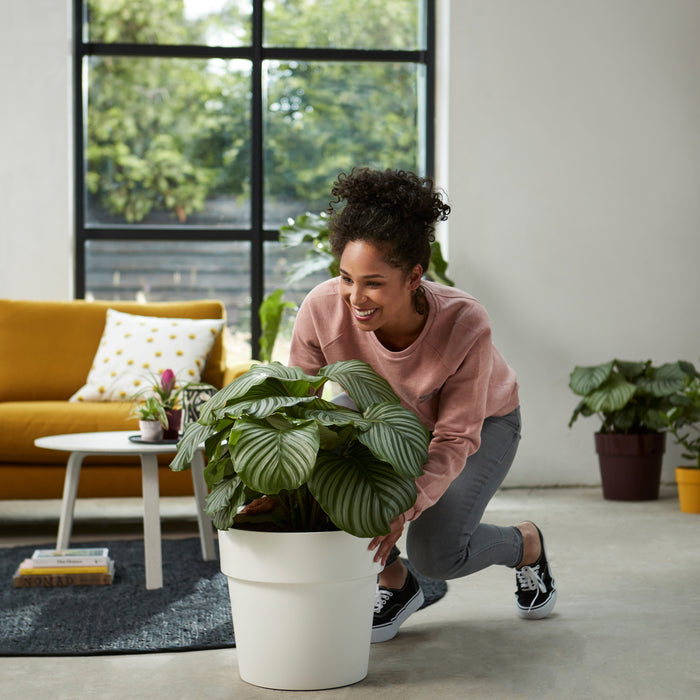 259804-x01.jpg (3486177) 