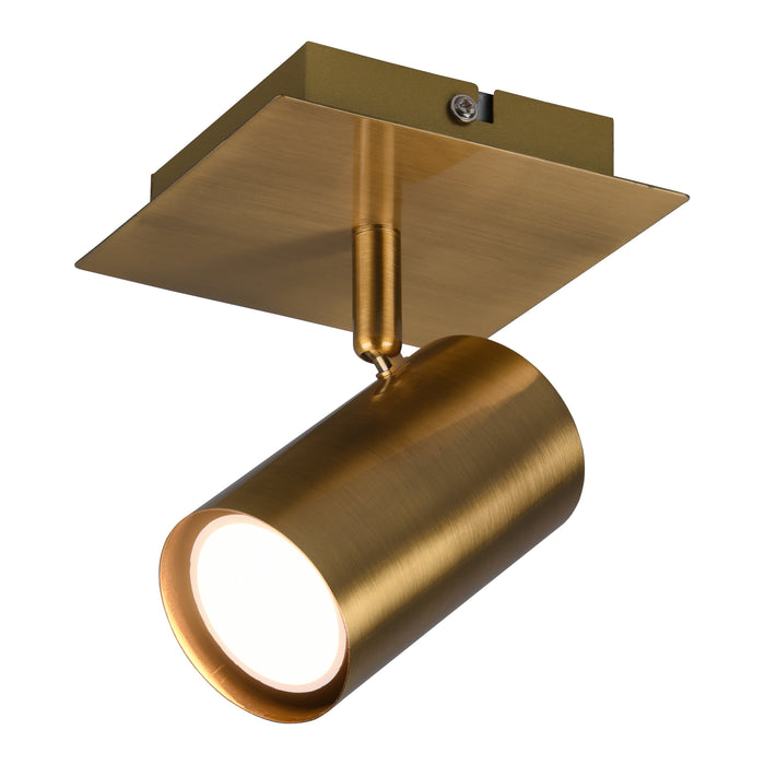 300809-x03.jpg (3502301) 