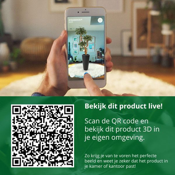 5d899136-9380-4110-b80c-0ae52d06caac-afbeelding7.jpg (3517616) 