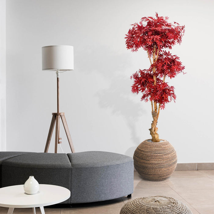 5d899136-9380-4110-b80c-0ae52d06caac-afbeelding8.jpg (3517617) 