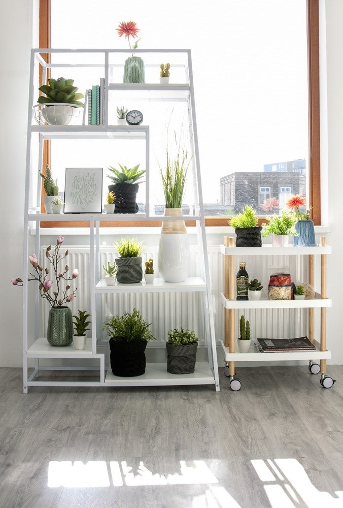 208818-2.jpg (3523957) 