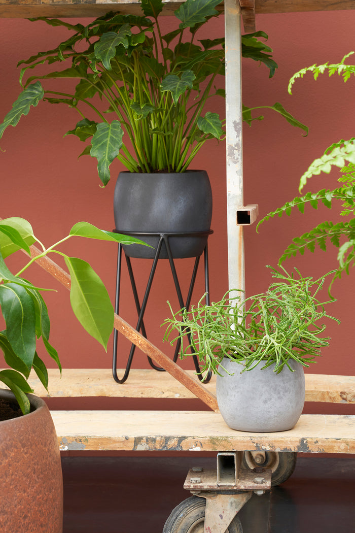 Mica Decorations Plantenstandaard Zwart Ø21,5 cm