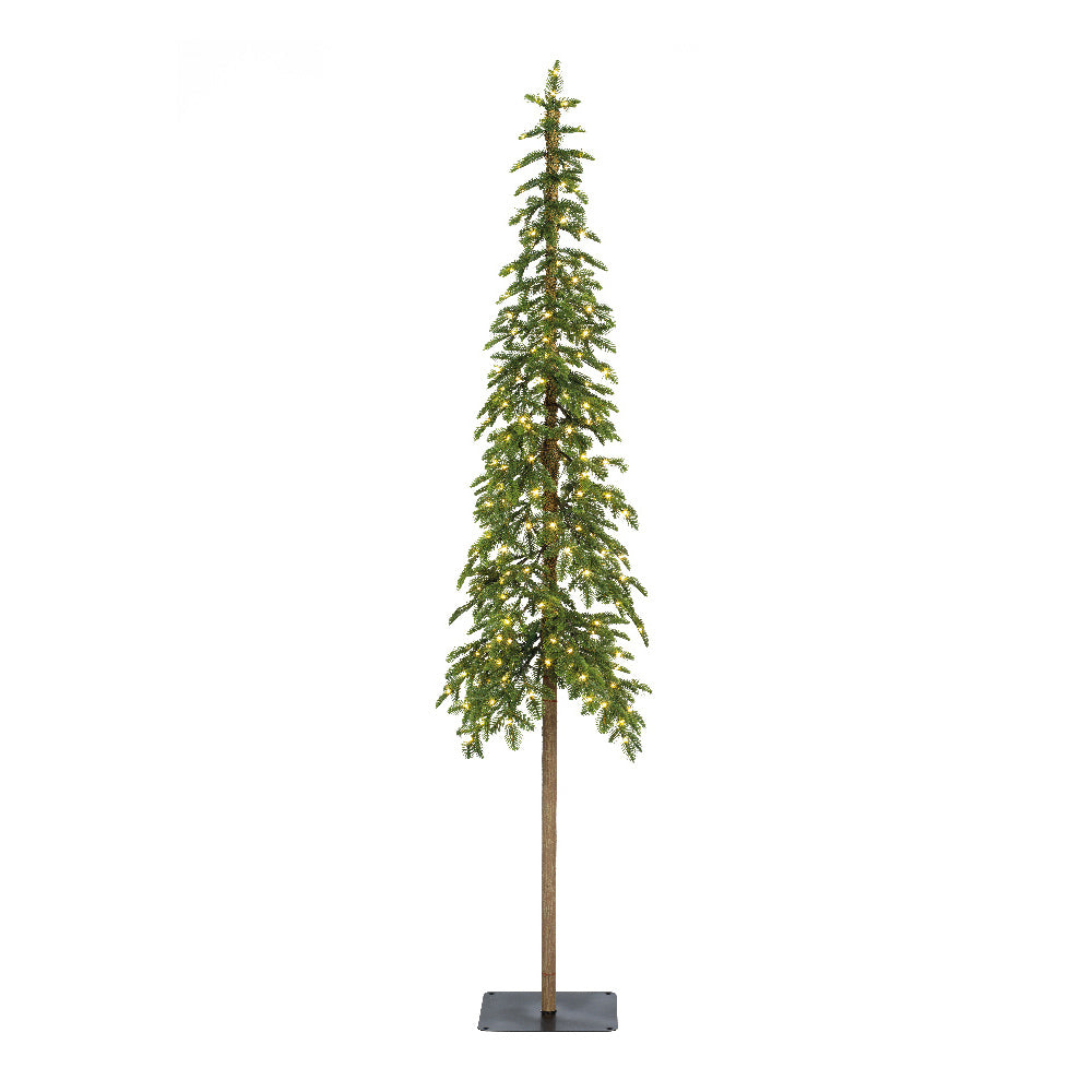 Alpine fir Micro LED indoor