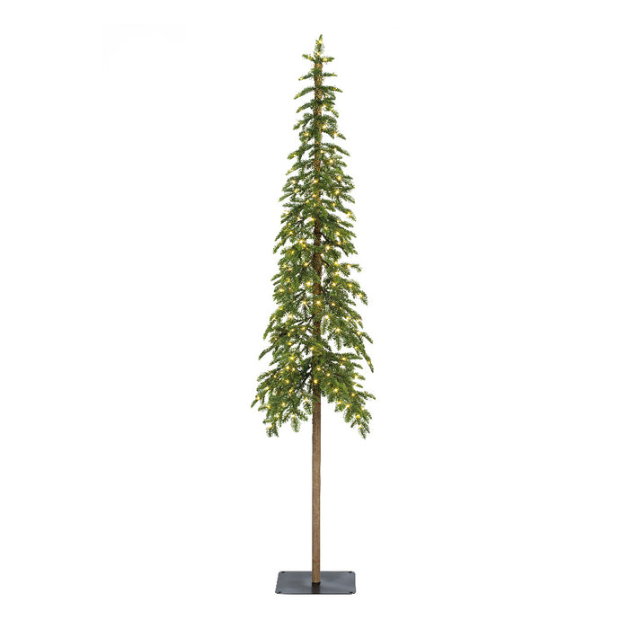 Alpine fir Micro LED indoor