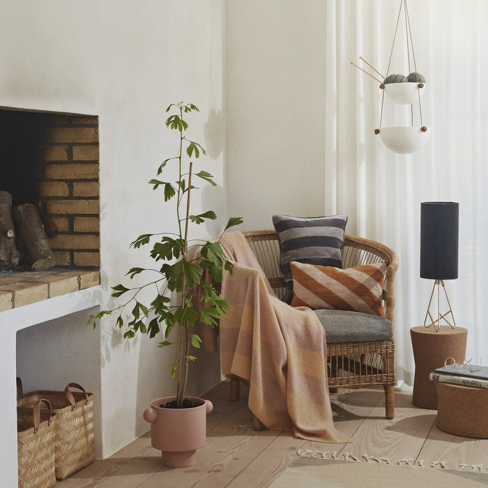 289825-x5.jpg (3543178) 