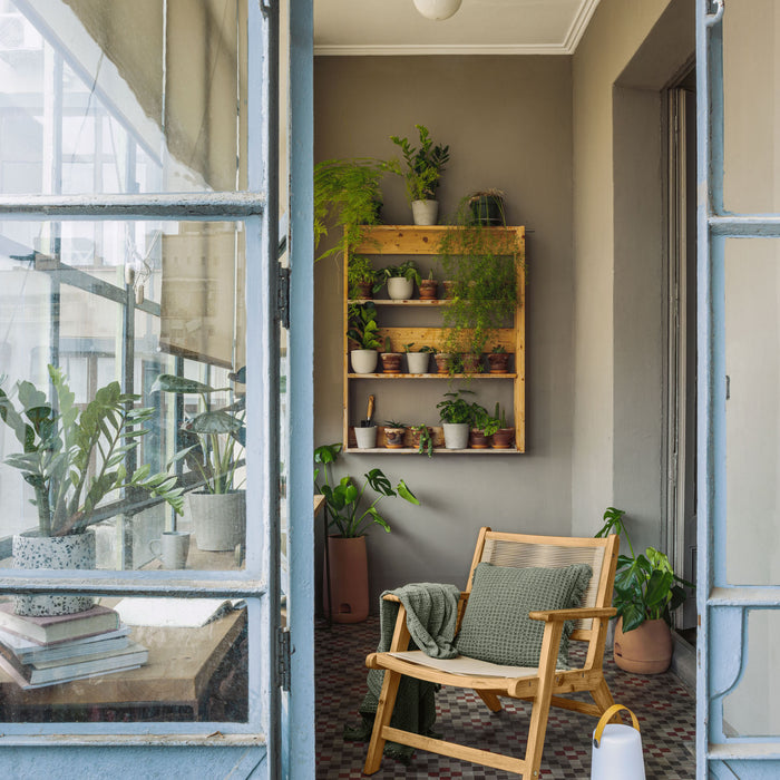 312826-x02.jpg (3548216) 