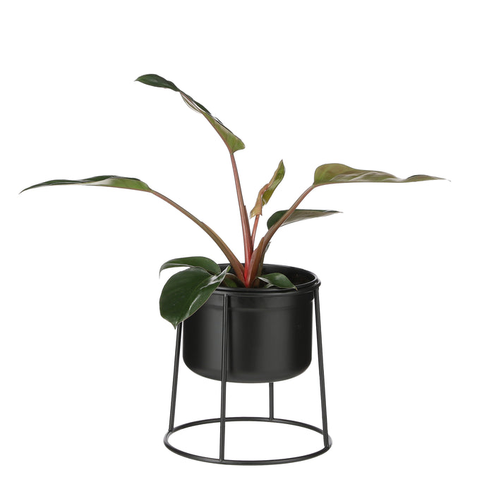 Mica Decorations Ramona Pot op Standaard Zwart