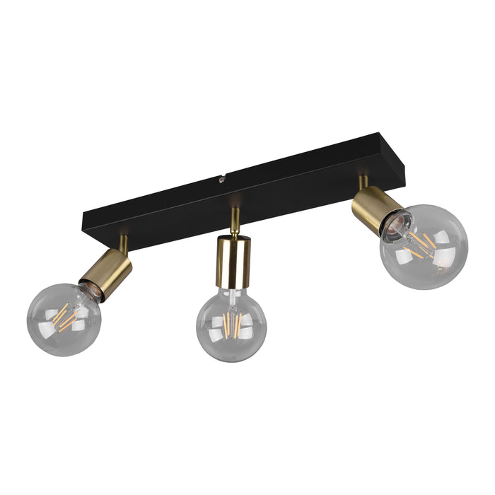 300835-x03.jpg (3572374) 