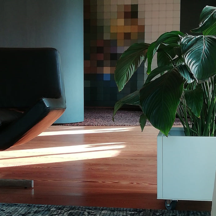 Grönfeld Plantenbak B 60 x D 40 cm