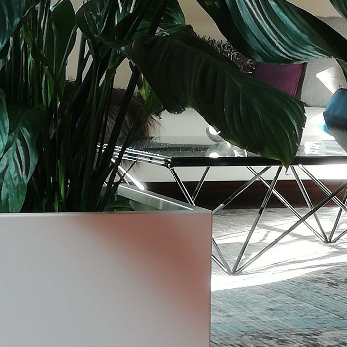 Grönfeld Plantenbak B 80 x D 40 cm