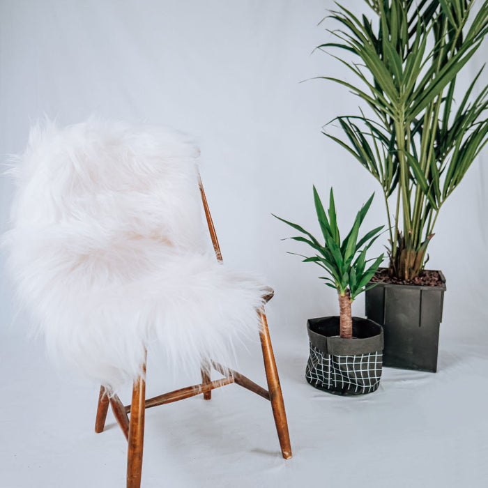 7eda089b-b7e2-4f96-8025-2ec27ba356b1-sfeerbeeld.jpg (3608945) 