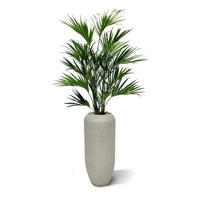 f12a835b-9728-4161-b504-8f0f930af183-sfeerbeeld.jpg (3609486) 