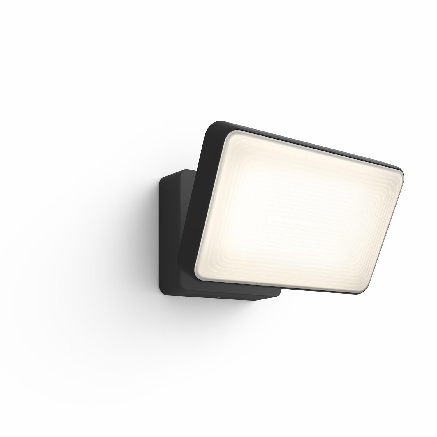 Philips Hue White Welcome Floodlight