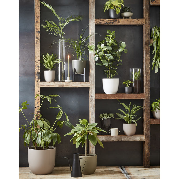 25178aec-a12c-4f8f-9658-b61489fc007b-sfeerbeeld.jpg (3630855) 