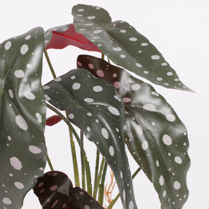 c5d843f0-4267-4770-b61e-4c5b1d88e1cb-afbeelding3.jpg (3646962) 