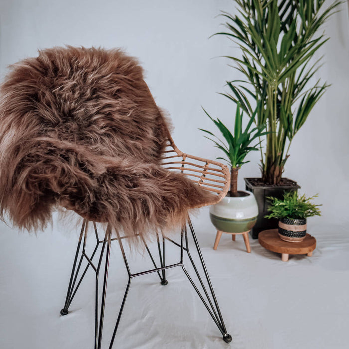 5378f957-96db-4b01-a154-de7c8a4b6cb3-sfeerbeeld.jpg (3654067) 