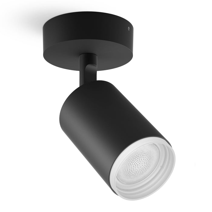 278873-x10.jpg (3672490) 