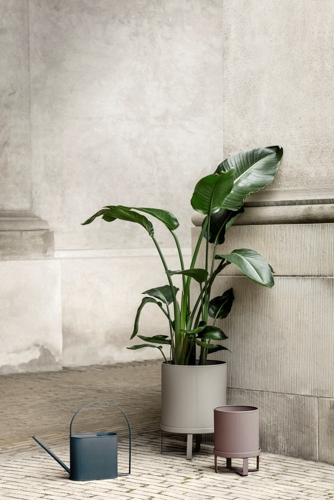 238876-3.jpg (3680691) 