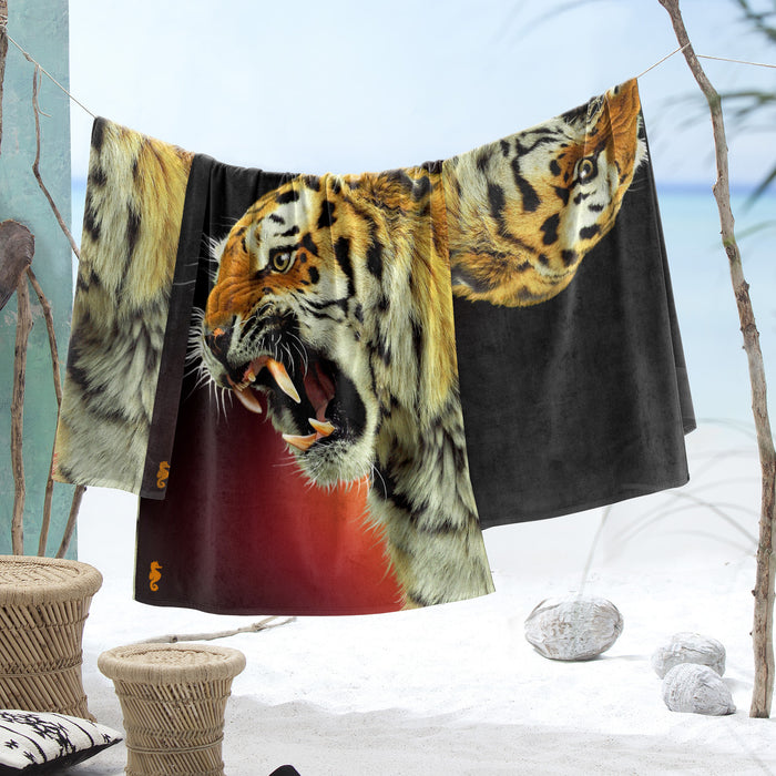 9d509b71-3208-41b8-9a95-cae603965a86-afbeelding10.jpg (3692237) 