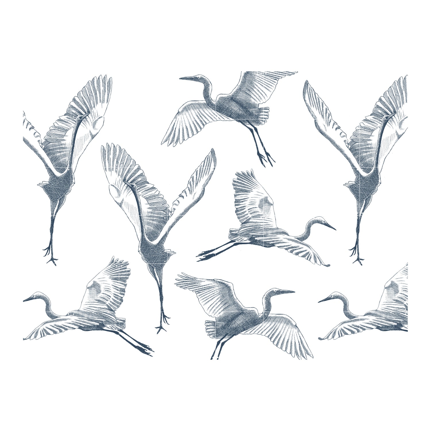 303883-x00.jpg (3702318) 