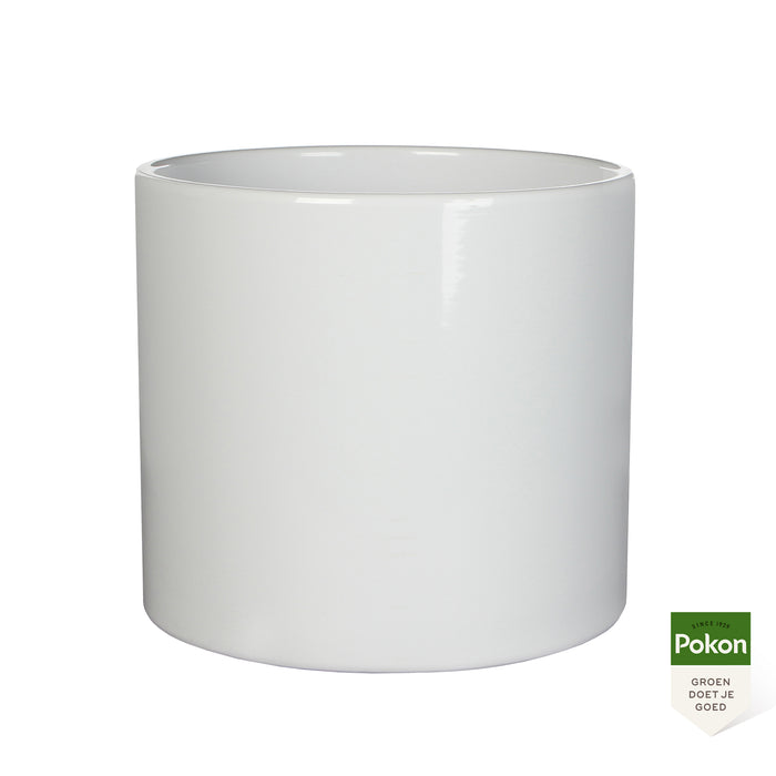 Pokon Croton incl. watermeter en voeding in Pot Wit ↕100 cm