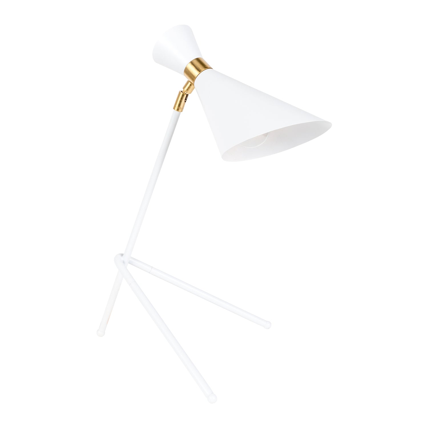 221888-x0.jpg (3713196) 