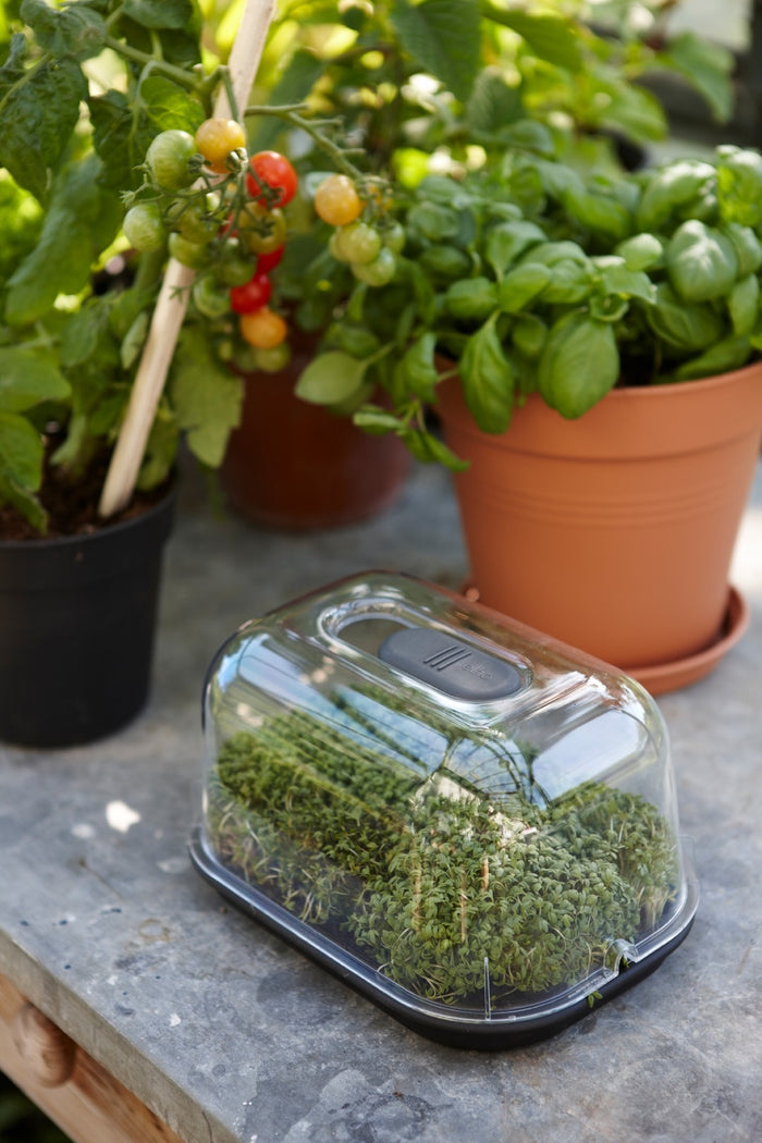 Elho Green Basics Kweektray S