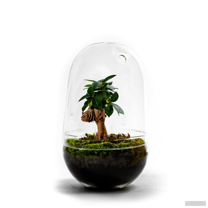 635092e2-1628-4a11-b84a-92f40790a588-afbeelding9.jpg (3746503) 