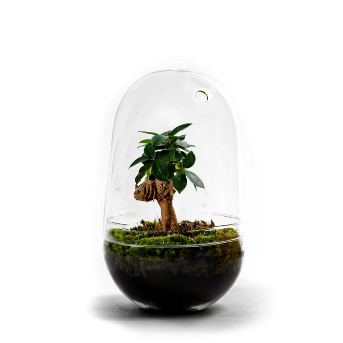 635092e2-1628-4a11-b84a-92f40790a588-sfeerbeeld.jpg (3746504) 