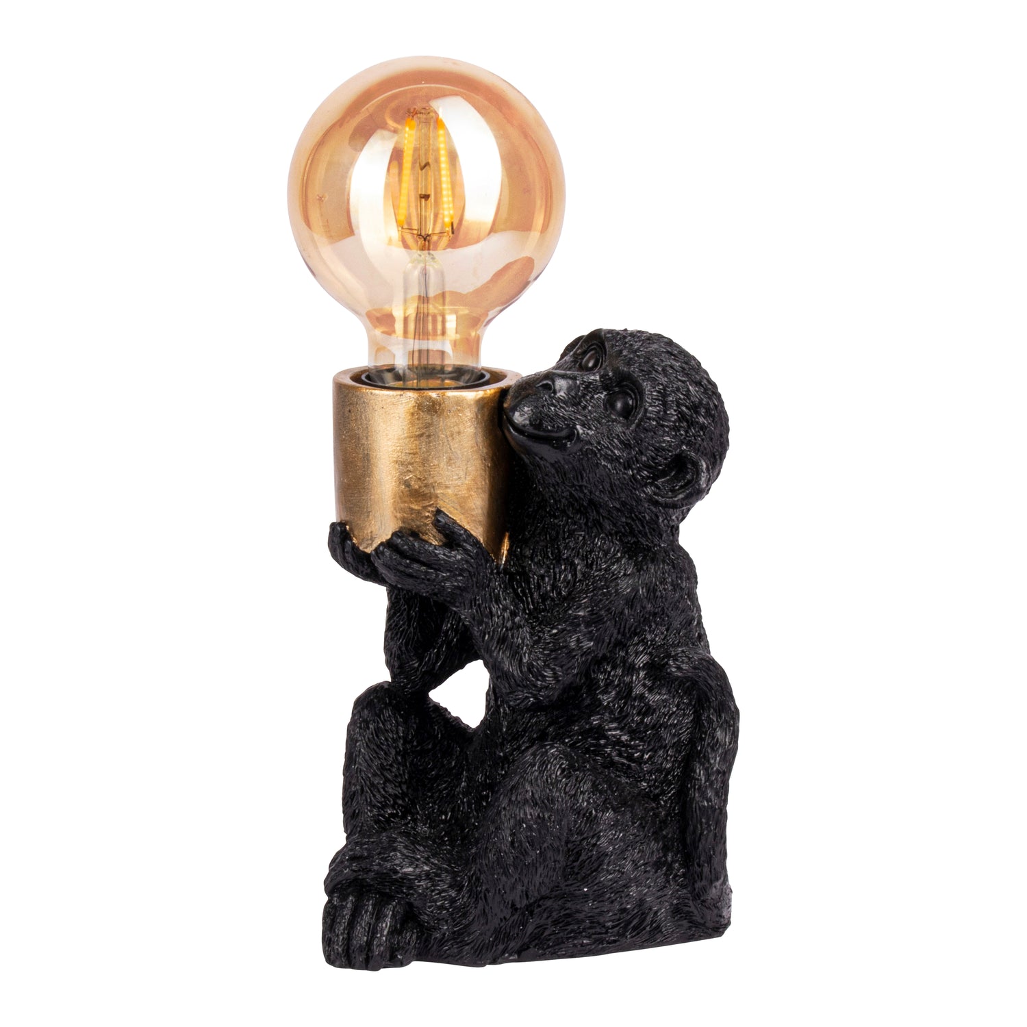 308903-x00.jpg (3756719) 