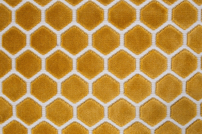 144911-2.jpg (3776657) 