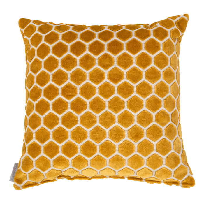 144911-x0.jpg (3776661) 