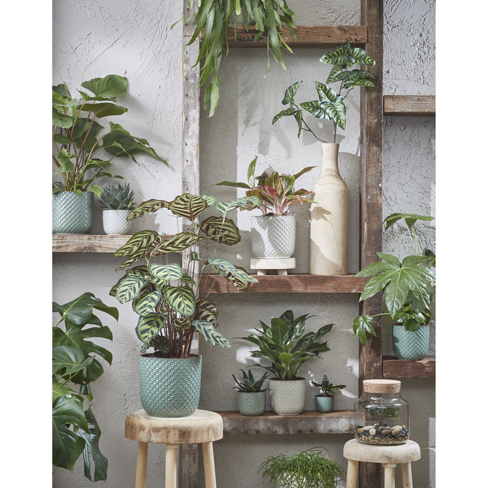 9c84eaae-d84b-48dc-82d6-f00f757fc04f-sfeerbeeld.jpg (3781222) 