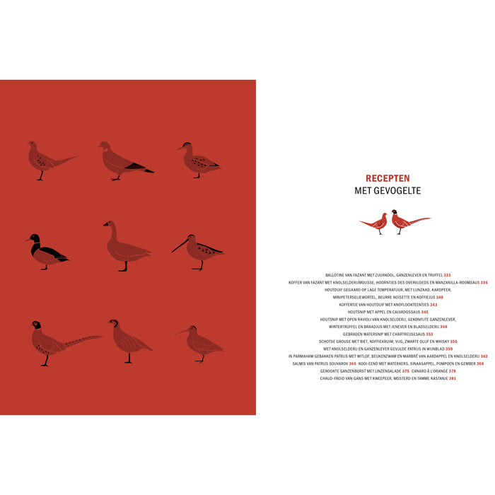 Peter Klosse - Wildbijbel