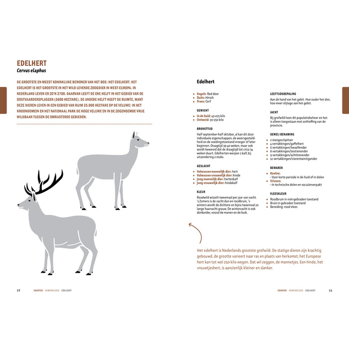 Peter Klosse - Wildbijbel