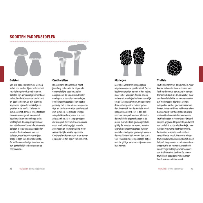 Peter Klosse - Wildbijbel