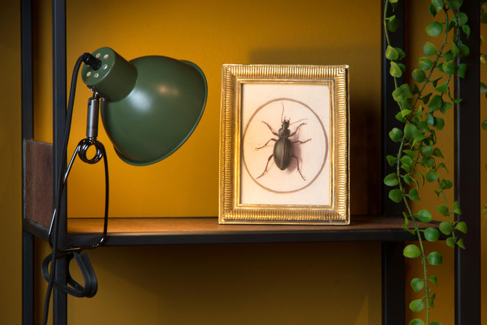 Lucide MOYS Klemlamp - Groen