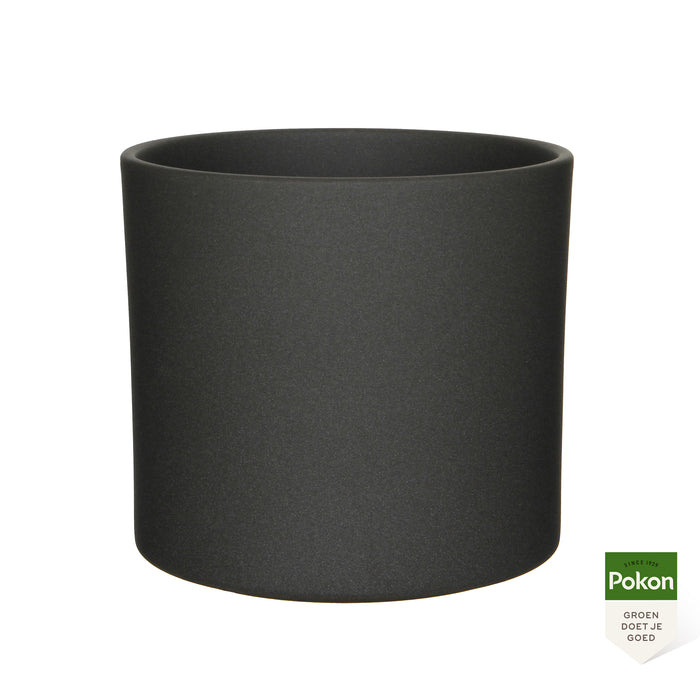 Pokon Yucca incl. watermeter en voeding in Pot Dkr Grijs ↕100 cm