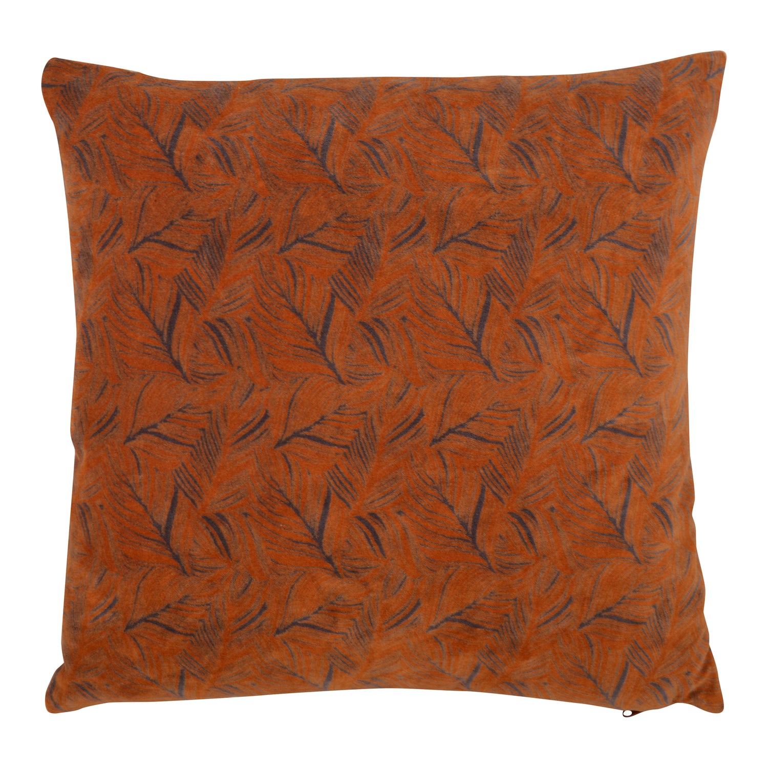 306916-x0.jpg (3792607) 